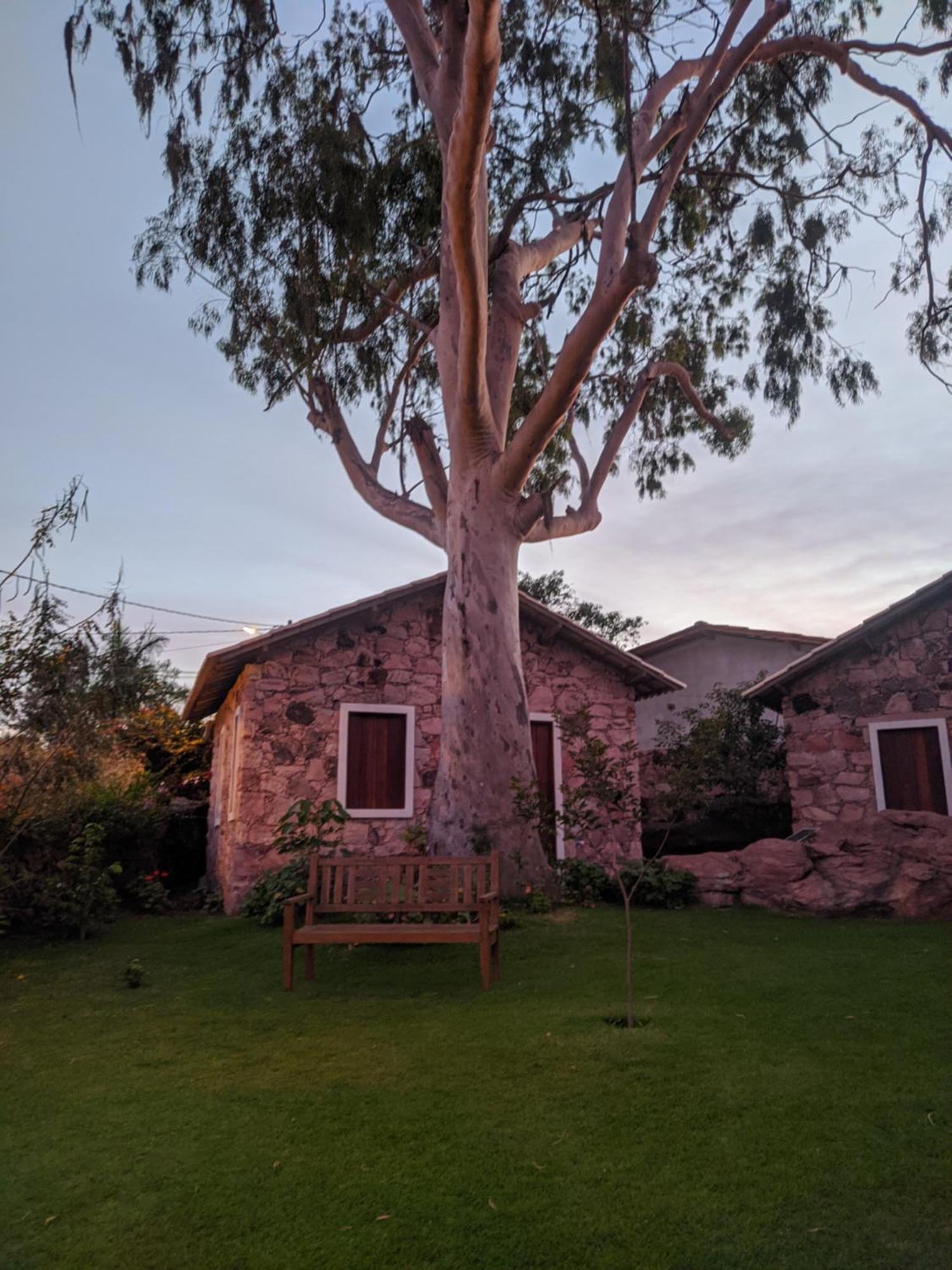 Oforasteiro Villa Mucugê Стая снимка