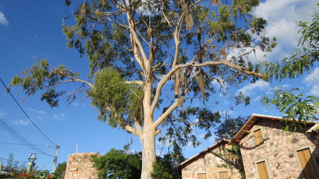 Oforasteiro Villa Mucugê Екстериор снимка